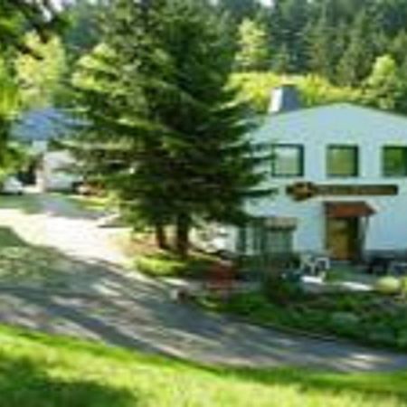 Pension Waldidyll Stutzerbach Экстерьер фото
