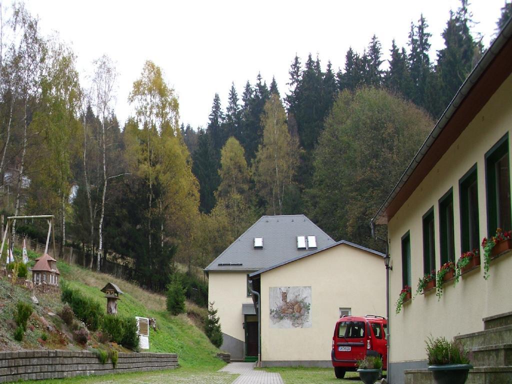 Pension Waldidyll Stutzerbach Экстерьер фото