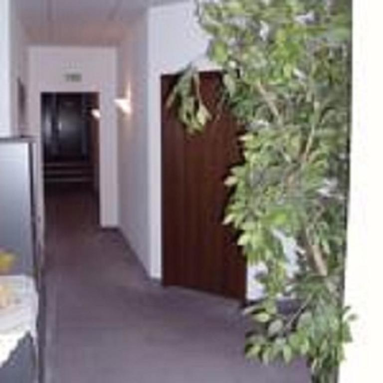 Pension Waldidyll Stutzerbach Экстерьер фото