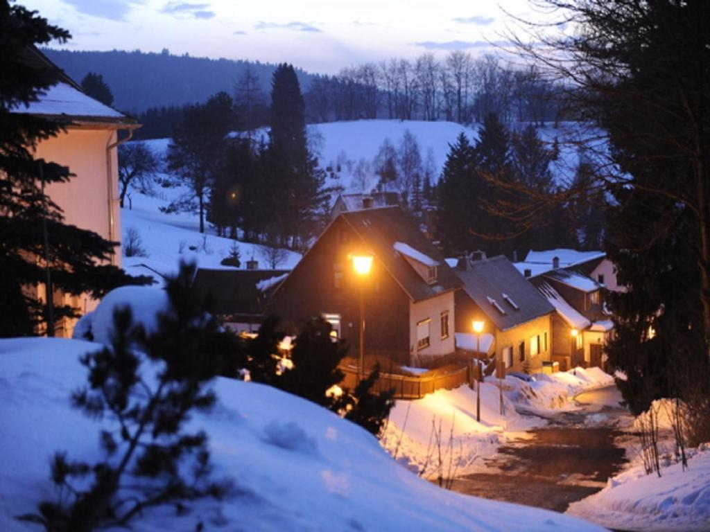 Pension Waldidyll Stutzerbach Экстерьер фото