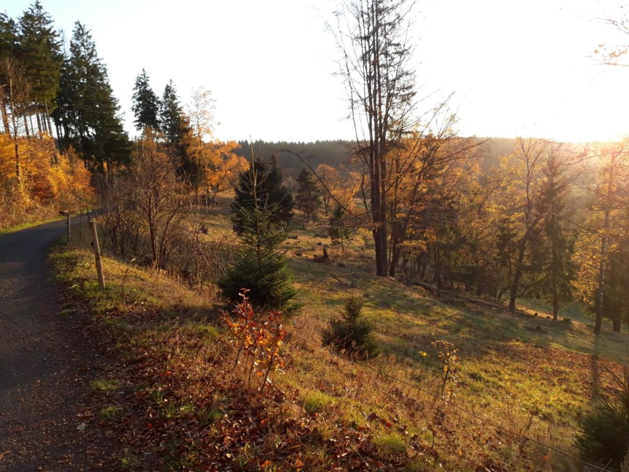 Pension Waldidyll Stutzerbach Экстерьер фото