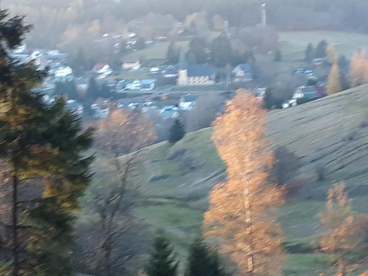 Pension Waldidyll Stutzerbach Экстерьер фото