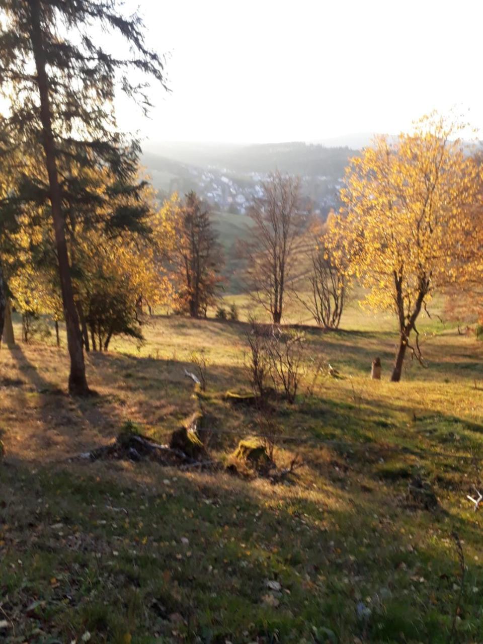 Pension Waldidyll Stutzerbach Экстерьер фото