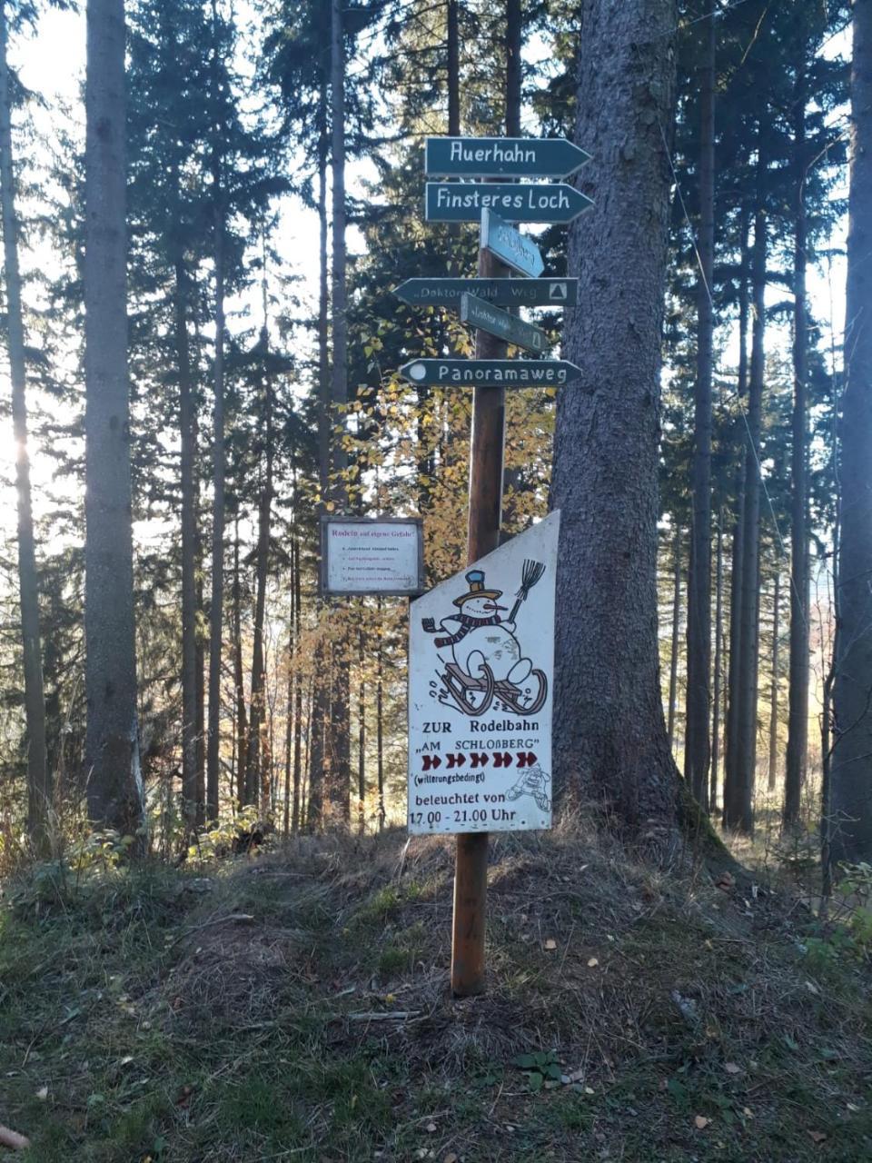 Pension Waldidyll Stutzerbach Экстерьер фото